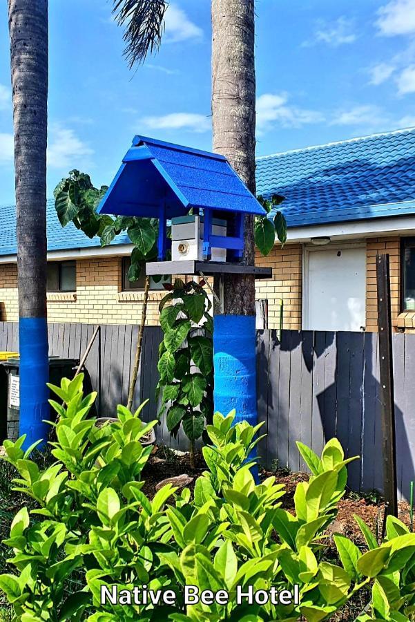 City Lights Motel Tweed Heads Exterior photo